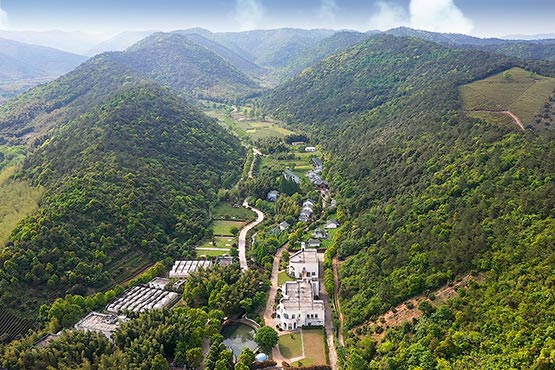安吉民宿,安吉十大民宿,安吉民宿预订