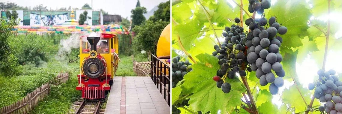 安吉民宿,安吉十大民宿