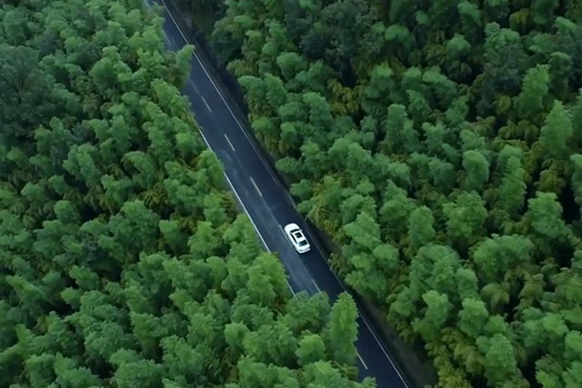 安吉民宿,投资民宿项目